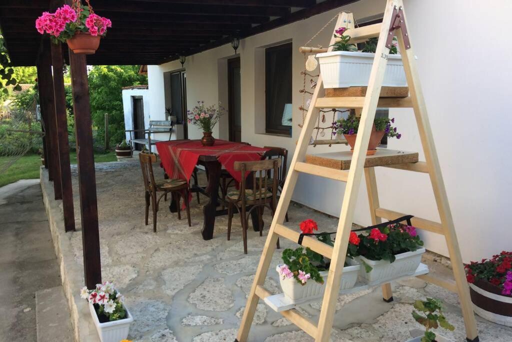 Guest House Kostadinovi Bulgarevo Exterior photo